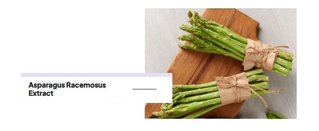 Asparagus_Racemosus_Extract