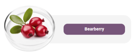 Bearberry