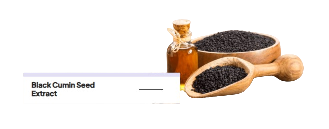 Black_Cumin_Seed_Extract__Nigella_sativa_