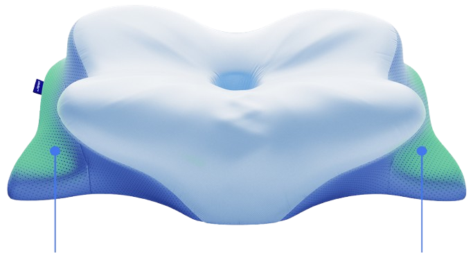Derila ERGO Memory Foam Pillow