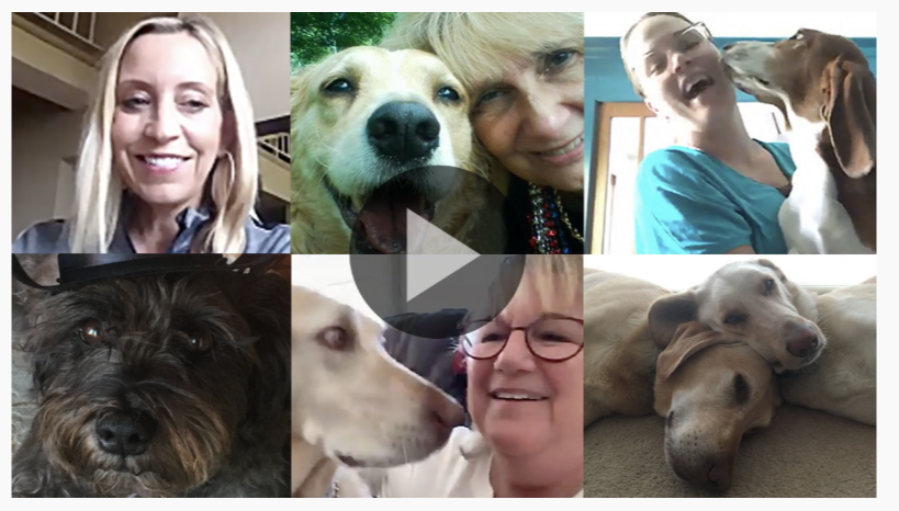 Dr. Marty Pet’s Nature's Blend-customer-reviews