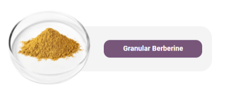 Granular Berberine