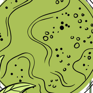 Greenselect Phytosome®