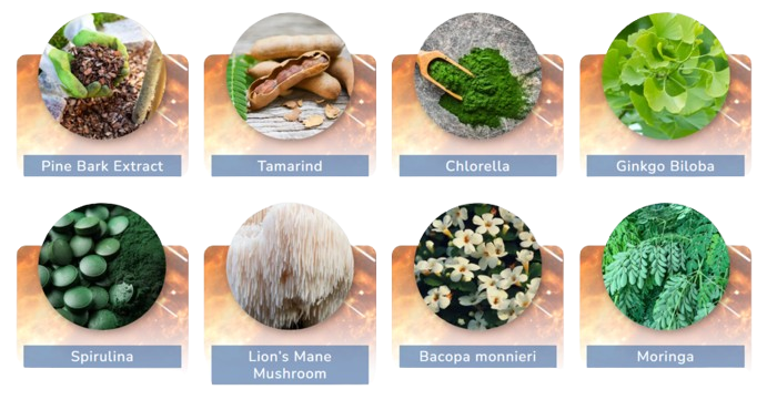 JointVive ingredients