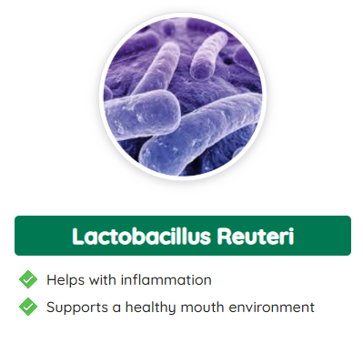 Lactobacillus Reuteri