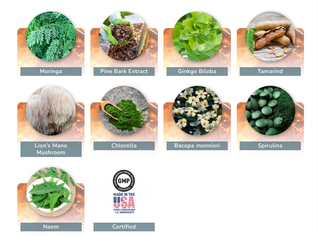 NeuroPrime supplemnt facts