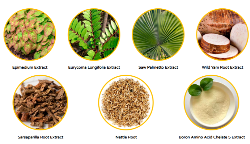 Prime-Perform ingredients