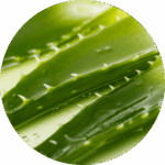 ingredients- aloe vera