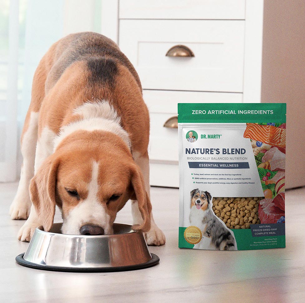 natures_blend_dog_eating-benefits