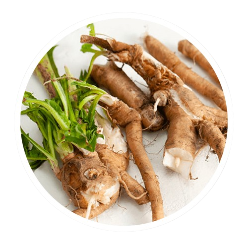 Chicory Root Inulin