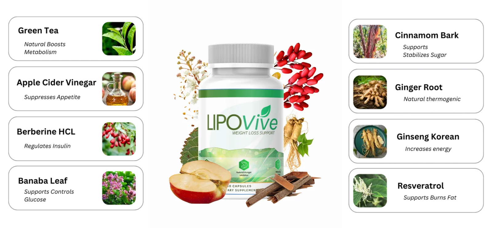 LipoVive Ingredients