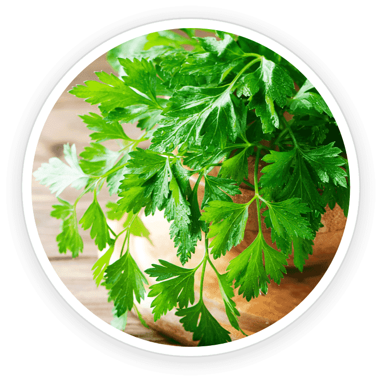 NanpDefence-Pro-Luteolin