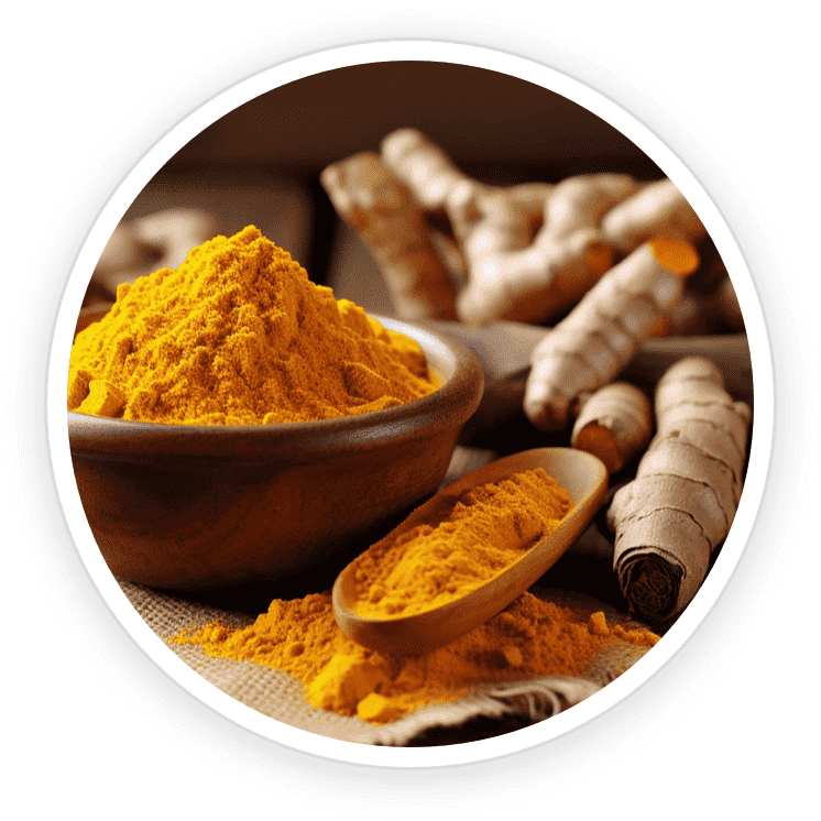 NanpDefence-Pro-Nano-Curcumin