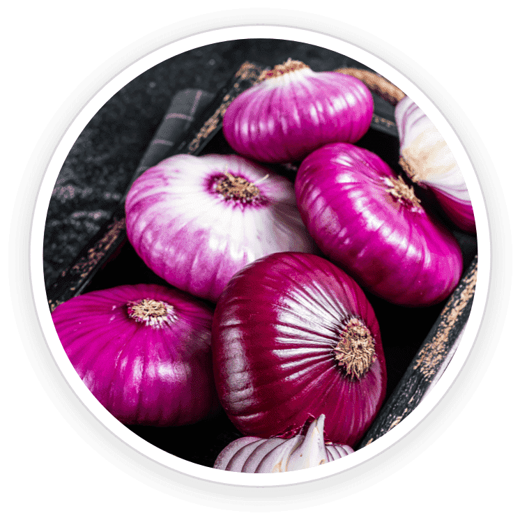 NanpDefence-Pro-Nano-Quercetin