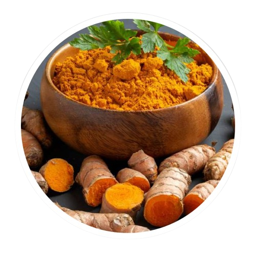 Turmeric Root Extract