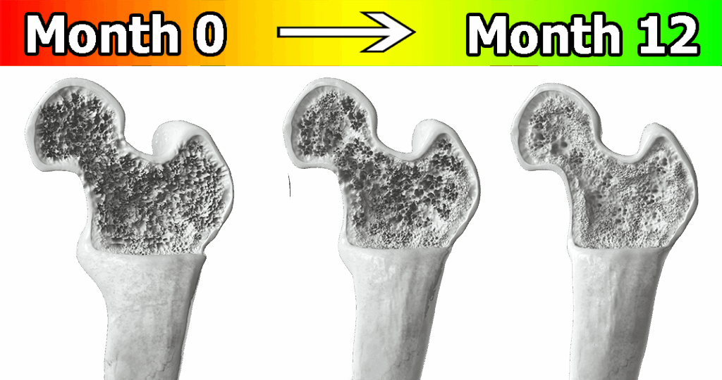 osteoshield benefits