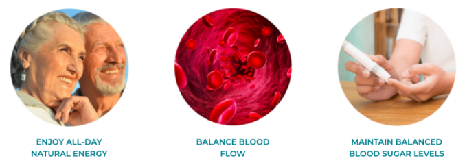 Blood Sugar Formula Ingredients