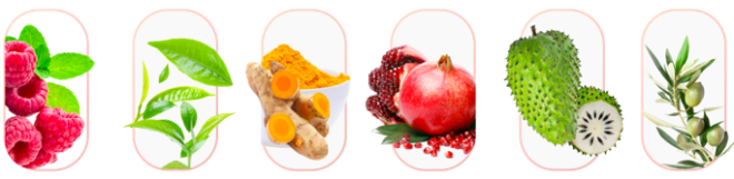 Memo Max Pro Ingredients