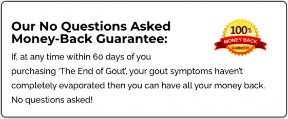 The End of Gout Review