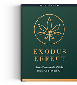 Exodus Effect Reviews