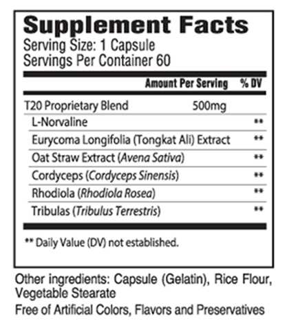 Jaylab Pro T20 Ingredients