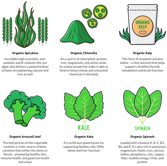  Cinderella Lean Greens Solution Ingredients