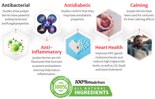 Advanced Formula Blood Sugar Defense Ingredients
