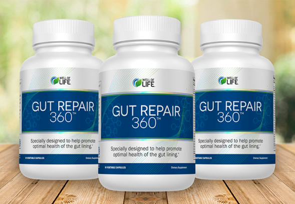 Gut Repair 360 Review