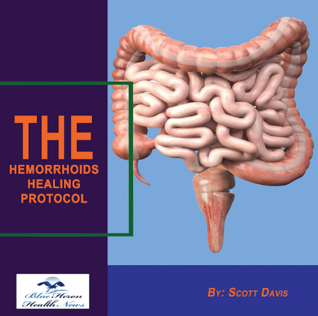 The Hemorrhoids Healing Protocol Review
