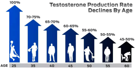 Endura Naturals Men's Testosterone Supplement