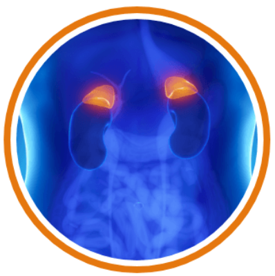 Advanced Bionutritionals Adrenal Factor Supplement