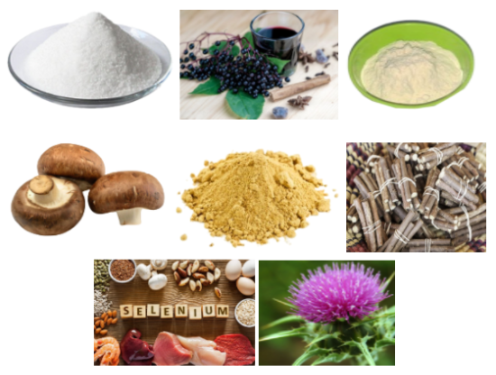 Advanced Liver Support Ingredients List