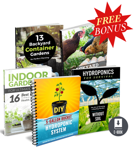 Instant Box Garden Miracle eBook