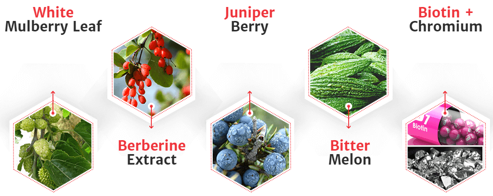 CareRenew Blood Sugar Balance Ingredients