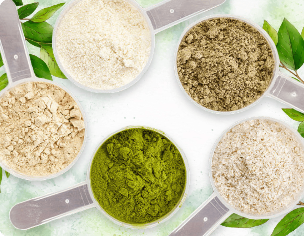 ProDentim Ingredients