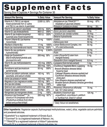 Healthy Resolve Multivitamin Ingredients