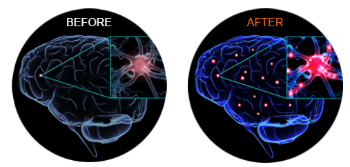 Aktiv Formulation's Alpha Wake Before & After Results