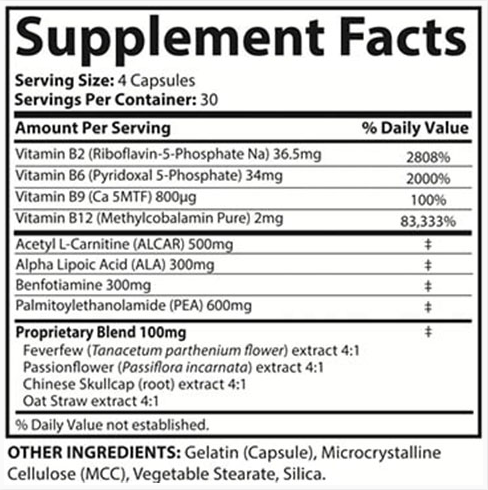 SciatiEase Ingredients