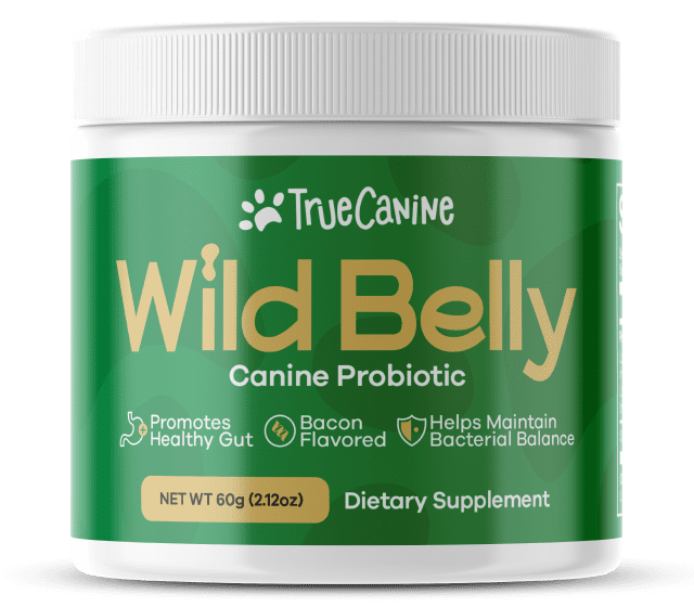 Wild Belly Canine Probiotic Reviews