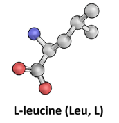 L-Leucine