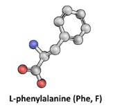 L-Phenylalanine
