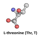 L-Threonine