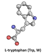 L-Tryptophan