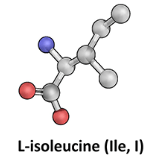 L-isoleucine