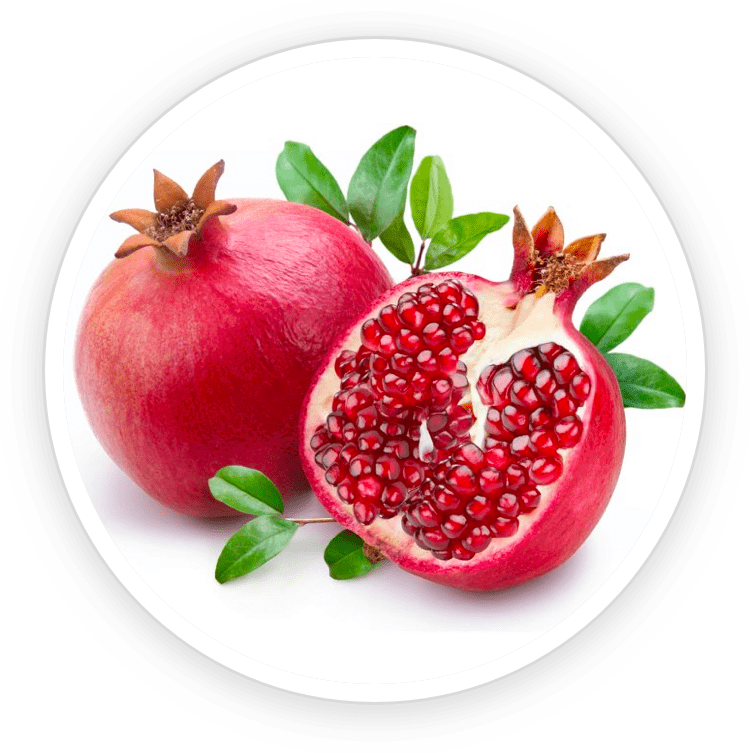 Pomegranate Extract