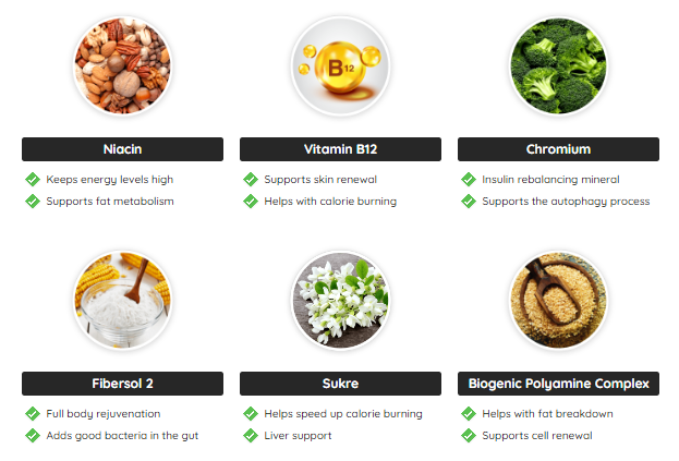 Fast Lean Pro Ingredients