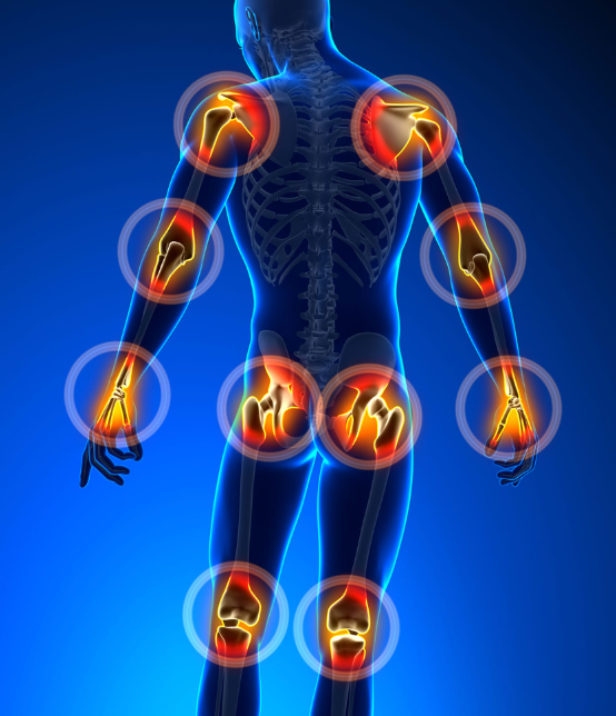 Joint Pain Killer Ingredients