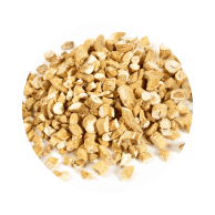 Panax Ginseng