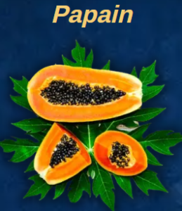 Papain