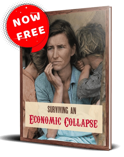 Surviving an Economic Collapse